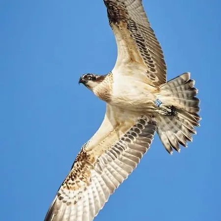 Casa Da Mareria Gafanha da Boa Hora