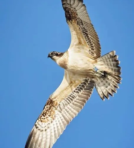 Casa Da Mareria Gafanha da Boa Hora