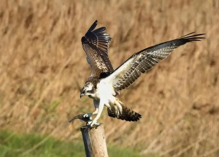 Ferienhaus Casa Da Mareria