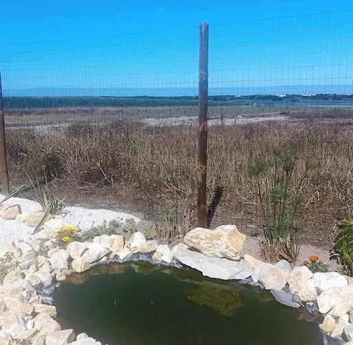Ferienhaus Casa Da Mareria Gafanha da Boa Hora